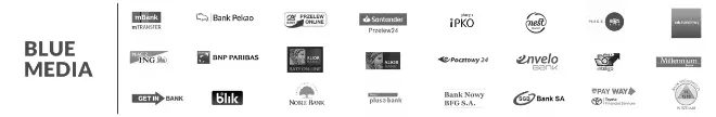 Banner płatności Blue Media
